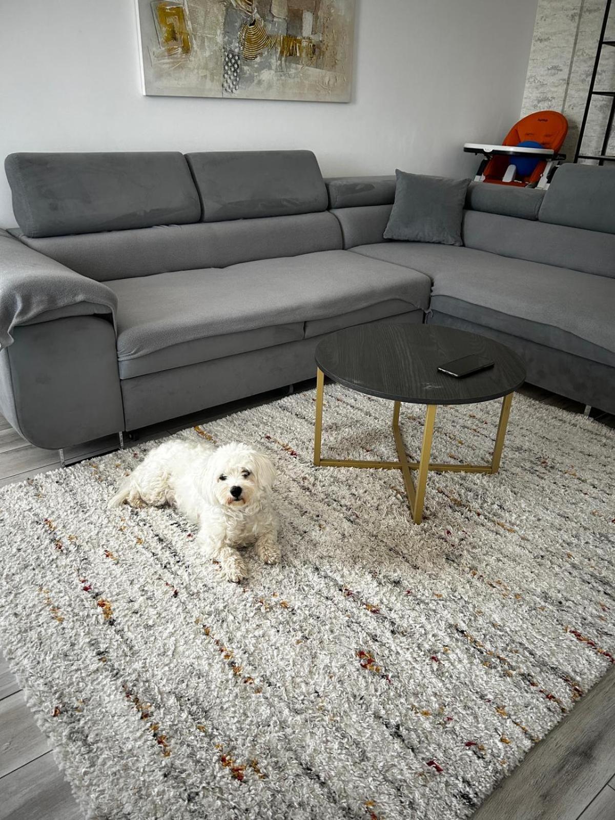 Mabu Apartment Braszów Zewnętrze zdjęcie